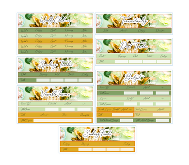 Tiana Budgeting sticker Kit | Standard Vertical Planner Stickers | Standard Vertical Budget Stickers