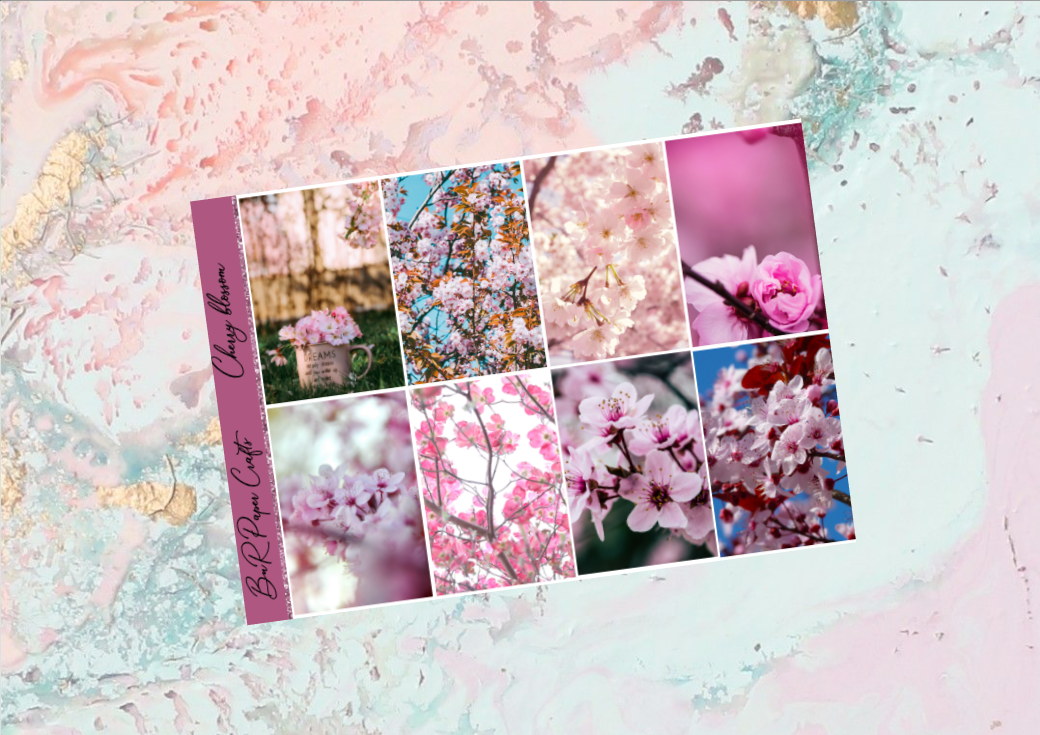 Cherry blossom Happy Planner Deluxe kit | Standard Vertical Planner Stickers