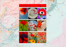 Load image into Gallery viewer, Poppy Deluxe kit | Standard Vertical Planner Stickers