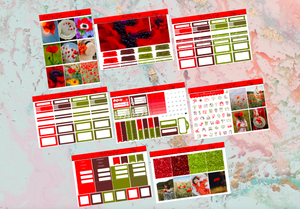 Poppy Deluxe kit | Standard Vertical Planner Stickers