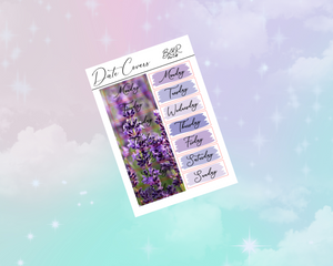 PP weeks add on | Foil Planner Stickers| EC Planner Stickers