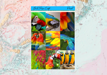 Load image into Gallery viewer, Parrot Mini kit | EC Planner Stickers