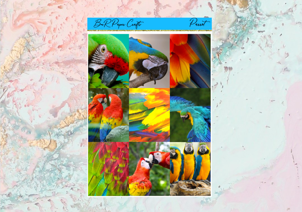 Parrot Mini kit | EC Planner Stickers