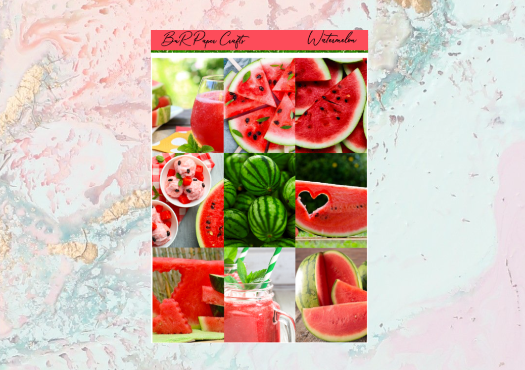 Watermelon Mini kit | EC Planner Stickers