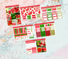 Load image into Gallery viewer, Watermelon Mini kit | EC Planner Stickers