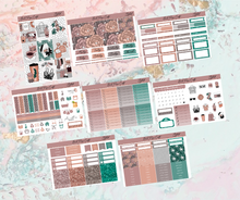 Load image into Gallery viewer, Stylish Deluxe kit | EC Planner Stickers