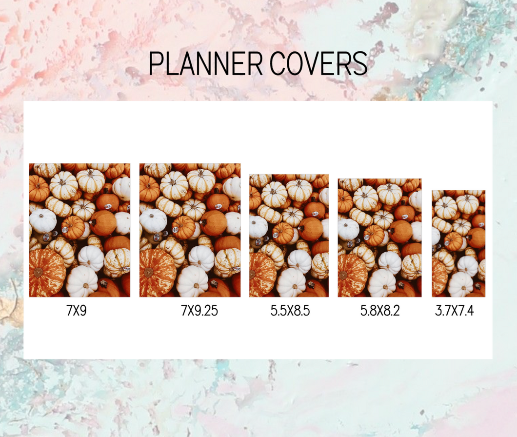 Extra cover Plan B Planner | Foil Planner Stickers | EC PLANNER