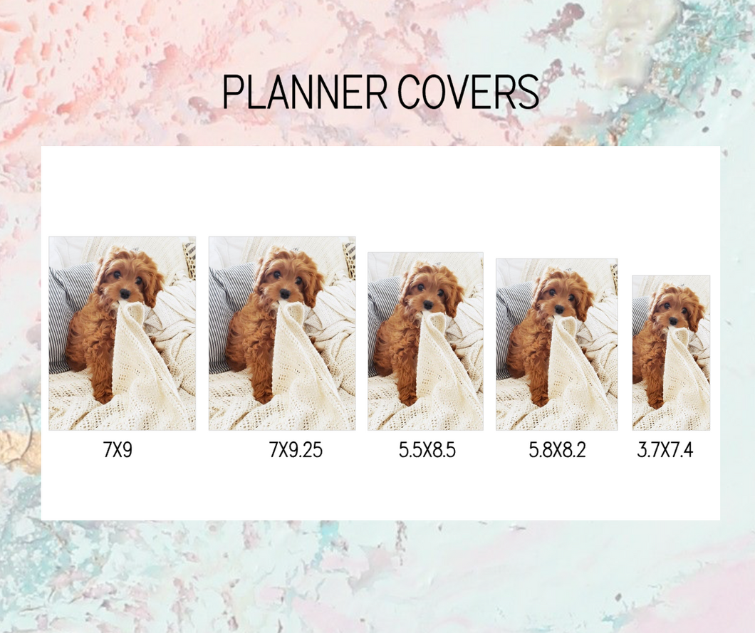 Extra cover Plan B Planner | Foil Planner Stickers | EC PLANNER