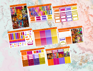 Coco Deluxe kit | Standard Vertical Planner Stickers
