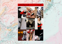 Load image into Gallery viewer, Cruella Mini kit | Standard Vertical Planner Stickers