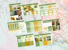 Load image into Gallery viewer, Tiana Deluxe kit | EC Planner Stickers