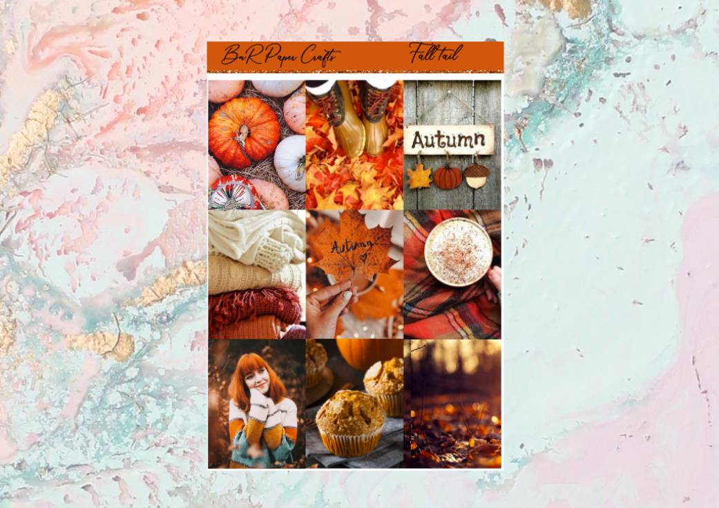 Fall Tail FULL BOXES only | Standard Vertical Planner Stickers