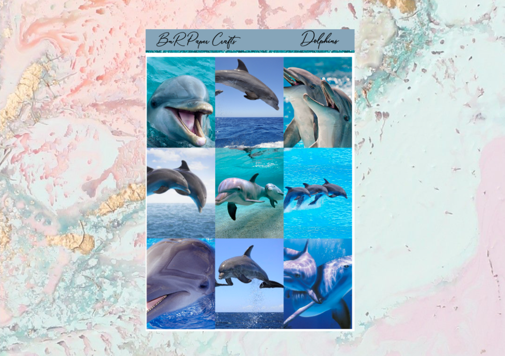 Dolphin FULL BOXES only | Standard Vertical Planner Stickers