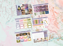 Load image into Gallery viewer, Rapunzel 2 Happy Planner Deluxe kit | Standard Vertical Planner Stickers
