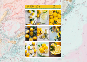 Lemon FULL BOXES only | Standard Vertical Planner Stickers