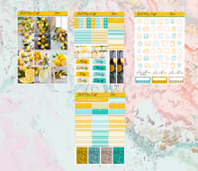 Load image into Gallery viewer, Lemon B6 kit | Standard Vertical Planner Stickers