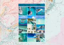 Load image into Gallery viewer, Maldives B6 kit | Standard Vertical Planner Stickers