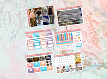 Load image into Gallery viewer, Anastasia Happy Planner Deluxe kit | Standard Vertical Planner Stickers