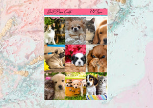 Pet Lover Mini kit | EC Planner Stickers