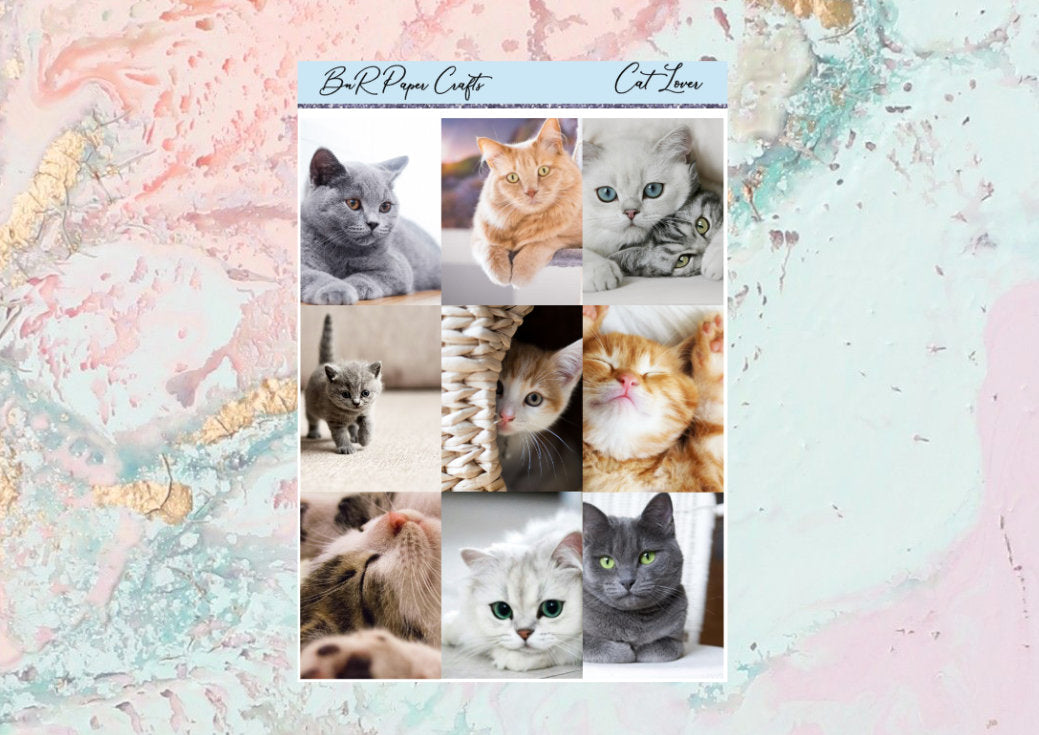 Cat lover Deluxe kit | Standard Vertical  Planner Stickers